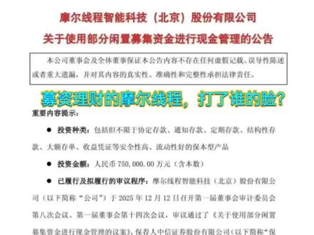 募资理财的摩尔线程,打了谁的脸?