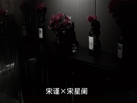 宋星阑 每天都在跟踪哥哥!#一屋暗灯广播剧 #一屋暗灯 #宋谨 #宋星阑