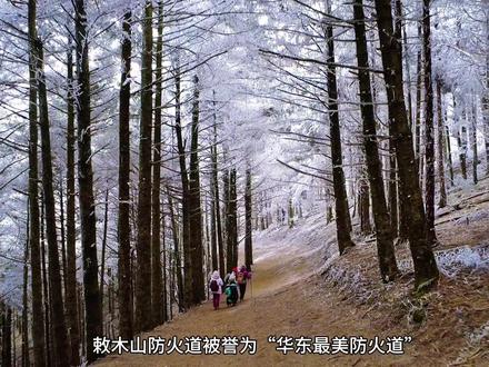 华东最美防火道徒步路线-敕木山防火道路线攻略。这里有最美的山脊线,还有最漂亮的雾凇。#敕木山 #敕木山雾凇 #江浙沪徒步 #温州徒步 #浙江文旅宣推官