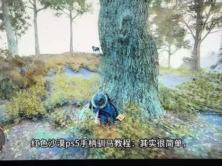 红色沙漠,PS5手柄训传说马的教程#红色沙漠
