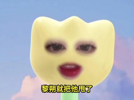 赵锦辛像鼻涕一样甩也甩不掉#赵锦辛#黎朔#小说#水千丞