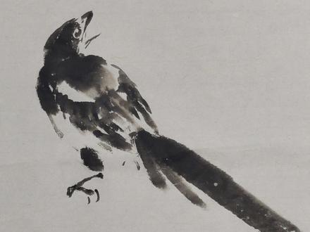 喜鹊画法 讲解示范#艺术 #热门#教学#写意花鸟#喜鹊#国画#学画画#国画教程 #喜鹊#喜鹊报喜 @抖音小助手 @头条热榜