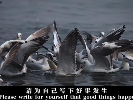 相信相信力量#拍出电影感 #情绪短片#纽约#青年创作者计划 #抖音精选