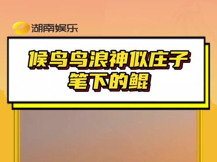 #候鸟鸟浪神似庄子笔下的鲲 庄子诚不欺我!这一幕仿佛穿越时空去到了他的世界!#候鸟#鲲#逍遥游#黄河三角洲自然保护区