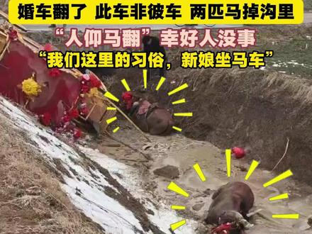现实中的“人仰马翻”,而且这马车还是婚车,幸好新娘没事。@小时光1 #人仰马翻 #马车婚礼