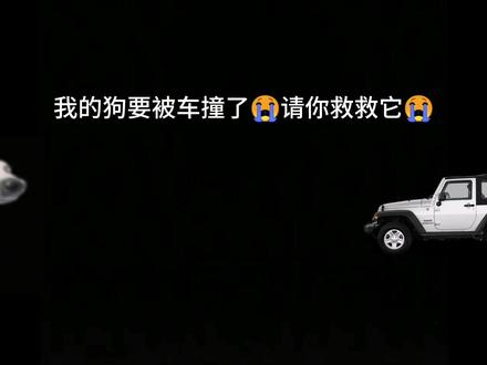 我的狗被车撞了😭请你救救它😭#我的狗被车撞了 #救救我的狗