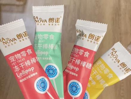 #馋猫 小猫咪都有棒棒糖了,不同品种的猫是什么吃棒棒糖的呢?