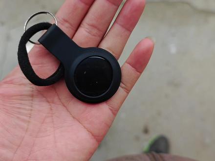 柯尔鸭在野外下蛋孵蛋了,挂个定位看看能不能找到窝! #奇妙的动物 #柯尔鸭孵化 #科尔鸭 #柯尔鸭