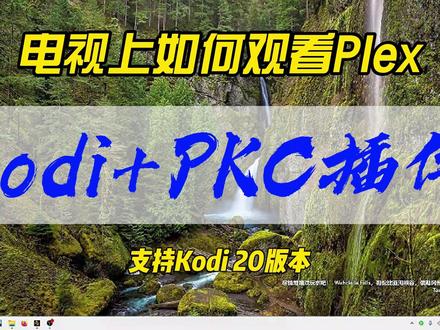 电视上如何观看Plex~Kodi+PKC插件,支持Kodi20以上版本~ #电视 #plex #kodi