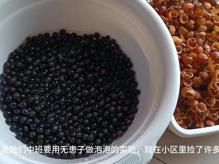 做个不要钱的手串#自制小手链 #珠珠手链diy #无患子 #中视频伙伴计划