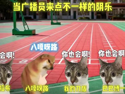 当广播员来点不一样的阴乐#猫meme#我的刀盾#DJ