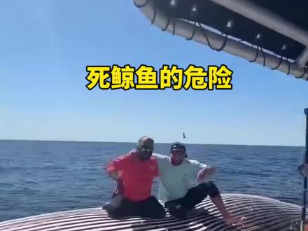 死鲸鱼的危险 #热门推荐 #热门推荐 #科普一下 死鲸鱼的危险 #热门推荐 #热门推荐 #科普一下