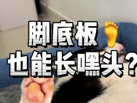 有的狗表面看着可可爱爱,私底下又得皮肤病又犯肠胃炎,现在连脚底板都长了嘿头.... #大无语事件 #抖音动物图鉴 @抖音小助手