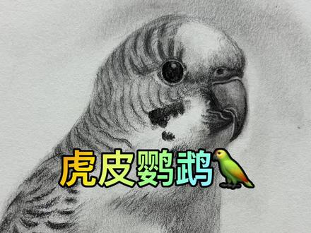 妈妈不让养鹦鹉🦜 我画一个可以吧#鹦鹉#可艺美术#龙江学画画