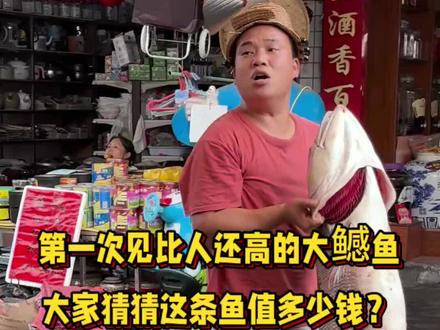第一次见比人还高的大鳡鱼
大家猜猜这条鱼值多少钱?#杀鱼技术 #菜市场 #厨房菜刀