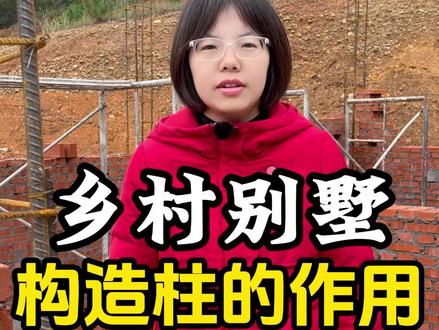 构造柱的作用 #别墅 #自建房 #农村建房