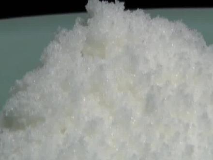 “植物黄金”龙脑樟树,一斤树叶价值2万,为啥却很少人种植呢?(三) #龙脑樟树 #科普