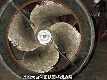 模仿鲸鱼制造的仿生螺旋桨 #气蚀 #空化作用 #潜艇 #螺旋桨