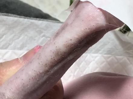 支架真好用耶,所以追加了小胳膊。#一般人不知道是什么 #这个动作有点难 #冠毛犬 #去黑头