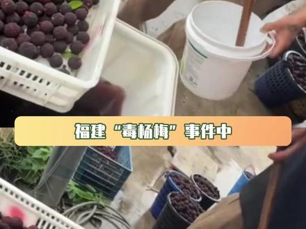 你们敢对妈祖发誓自己从不知情吗 #漳州杨梅 #食品添加剂