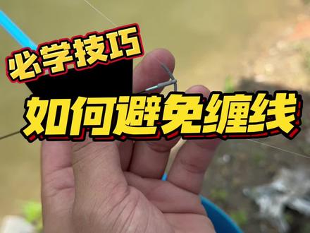 缠线缠漂只要注意这个细节 就能大幅度减少#钓鱼人 #黑坑盘老板 #黑坑钓鱼 #钓鱼技巧