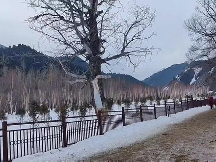 一个空气都是香甜的地方__南山沙沟,徒步 骑马 赏雪好地方。 #雪地