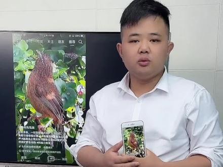 投屏器看抖音只能在电视中间看?#投屏器#手机连接电视 #小屏秒变大屏