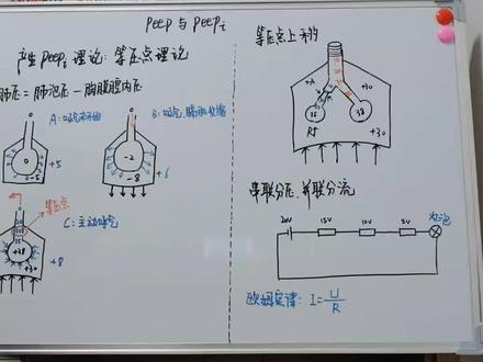 内源性PEEP(2)。由于工作比较忙,所以更新较慢,望各位老师见谅,你懂的🤭#呼吸 #呼吸机 #呼吸系统
