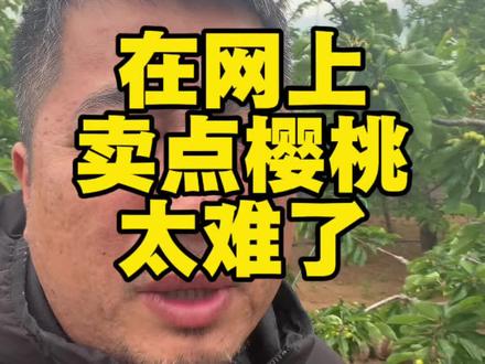 求助一下,到底在网上应该怎样卖樱桃?#樱桃 #诚信经营 #大樱桃 #大连樱桃 #薅羊毛