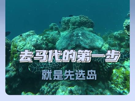 #五一去哪儿 #旅行 #定制旅行 闺蜜有什么痛苦去马尔代夫说!#奢游国际#奢游国际品质旅行