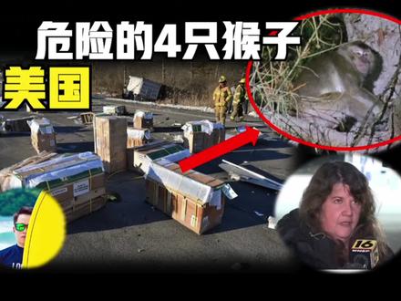 猴痘!美国模拟报告时间轴过程细节高度吻合 #猴痘