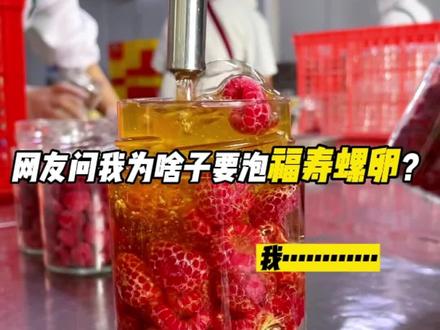 网友问我为啥子要泡福寿螺卵? #福寿螺卵 #树莓 #好喝的水果蜜 #抖音520好礼季 #仙女都在喝什么