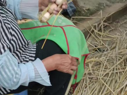 云南十八怪鸡蛋串着卖#各地的奇怪特产 #这是什么蛋啊