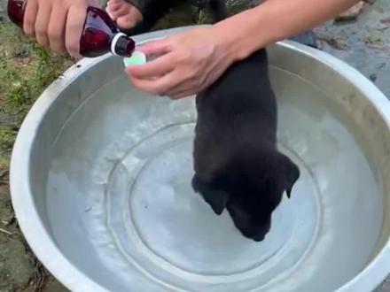 「巴音布鲁克没有海 只有无尽的热爱」#飞驰人生3 强势来袭!!#飞驰人生 #沈腾 #飞驰人生3电影