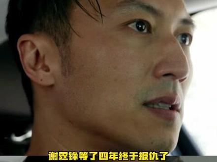 丁真被四年的前的回旋镖正中眉心#谢霆锋 #丁真 #寻真之地