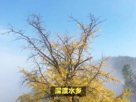 #广东省最美省道攻略 #S244省道攻略 #自驾S244和S323省道