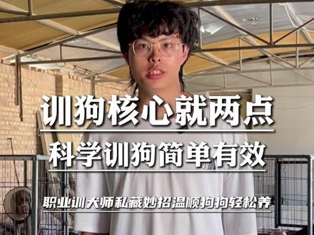 训狗核心就两点,科学训狗简单有效#训犬 #保定 #狗狗训练 #宠物技能