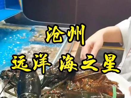 沧州自助界的天花板,高端的食材,贵族的享受,仪式感满满!
抖音团购只要238💰两个主菜,其他谁便吃!
快带上你的她/他/他们来吃吧!#抖音美食推荐官 #自助餐#法式浪漫 #美食探店 #美食 #抖音美食推荐官 #同城美食 #抖音美食 #远洋海之星@DOU+上热门 @DOU+小助手