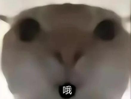 三角洲体力真的特别重要#三角洲行动#三角洲跑刀#三角洲s8