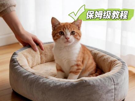 宠物带货视频,用AI轻松制作,保姆级教程 内容画面使用小云雀AI辅助制作
#宠物带货 #宠物博主 #宠物模特 #宠物话题 #AI视频