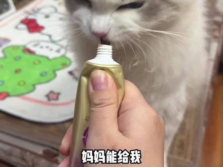家里的猫咪有这样的情况,一定要重视起来哦,可以用这种温和的方式,给它试试爱果萌兽家的舒情膏#爱果萌兽 #舒情膏 #猫咪发情 #猫咪发情怎么办 #新手养猫