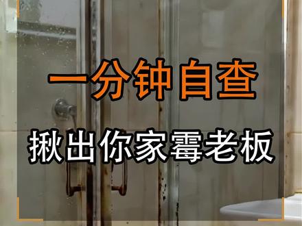 一分钟自查,你家有没有住着霉老板 #热门 #淋浴房 #无框淋浴房 #卫生间装修 #装修避坑 @DOU+小助手