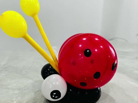七星瓢虫教程来啦,小瓢虫放在波波球上面也是好看的呀,学起来吧#气球教程 #教程 #手工气球玩具教程 #气球造型教学