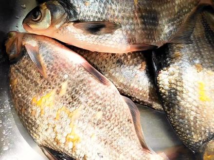 湖北特色美食阳干鳊鱼的做法,肉质紧实,香辣入味,满满家乡味道 #地方特色美食 #阳干鳊鱼 #农村美食