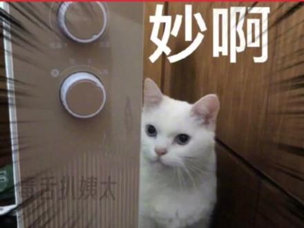 快给我看看你们的群名#娱乐评论大赏 #谢谢有被笑到