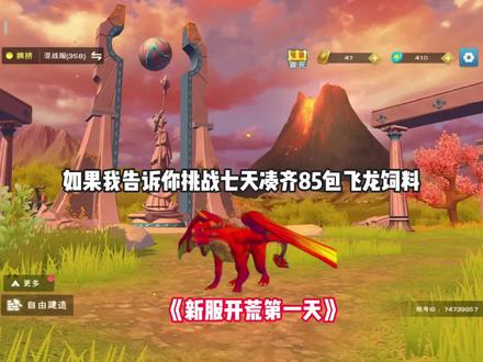 #创造与魔法 挑战抓捕飞龙第一天