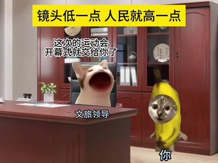 镜头低一点,人民就高一点#猫meme #村超 #真实还原 #致敬