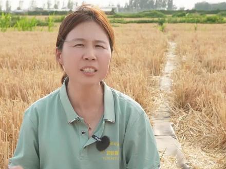 浇地收费不规范的建议#浇地#浇地收费#打井