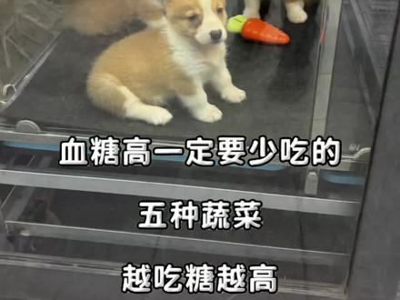 血糖高一定要少吃的五种蔬菜