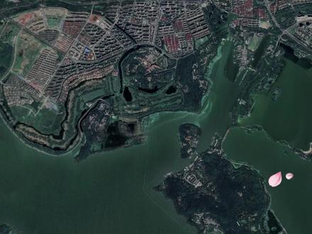 3月赏樱🌸千万不要直接冲鼋头渚❗️ 这份2026年赏樱保姆级攻略,能节约大半天时间#鼋头渚樱花 #无锡 #无锡旅游攻略 #樱花 #赏樱攻略